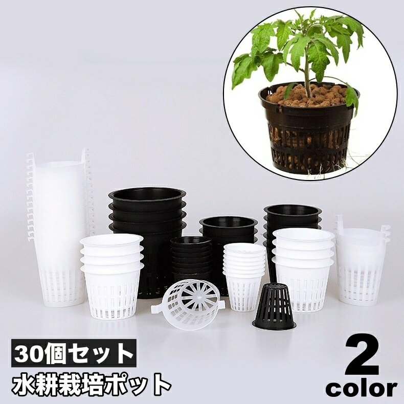送料無料 水耕栽培ポット 育苗ポット 30個セット 植木鉢 育苗 ガーデニング用品 メッシュ 植物 花 観葉植物 野菜 植物育成カップ 給水栽培 園芸 通気性 ブラック ホワイト 黒 白