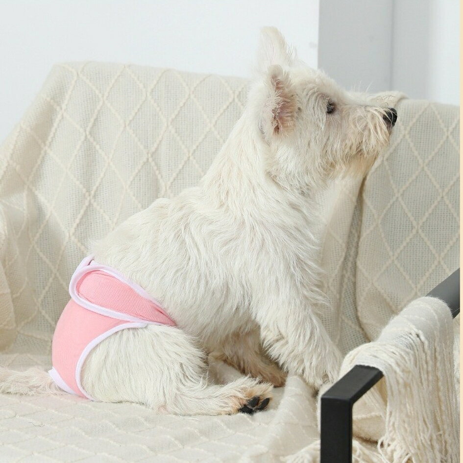 LaForestの送料無料 犬用サニタリーパンツ マナーパンツ 生理パンツ 薄手 通気性 犬用ウェア ドッグウェア マーキング対策 おもらし対策 春 夏 秋 冬 面ファスナー マジック テープ 可愛い お散歩 お出かけ しっぽ穴付き｜アングル2