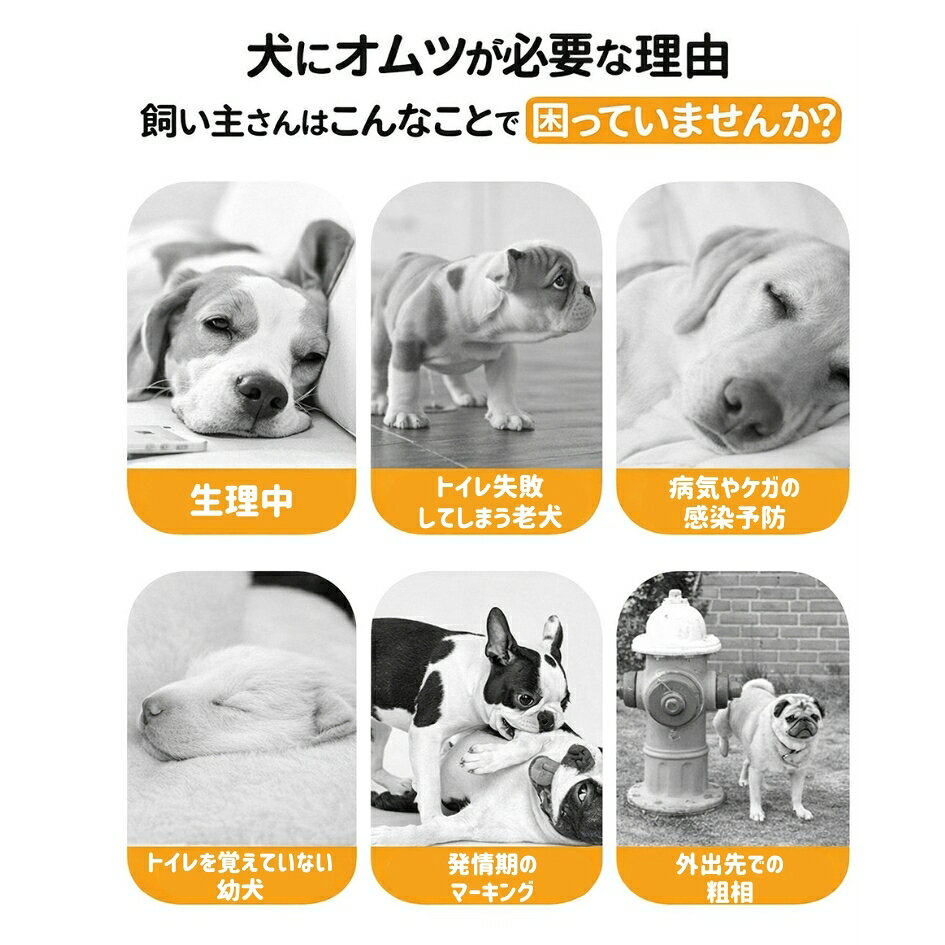 LaForestの送料無料 犬用サニタリーパンツ マナーパンツ 生理パンツ 薄手 通気性 犬用ウェア ドッグウェア マーキング対策 おもらし対策 春 夏 秋 冬 面ファスナー マジック テープ 可愛い お散歩 お出かけ しっぽ穴付き｜アングル3