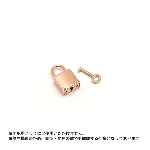 送料無料 ミニ南京錠 同色2個セット 鍵 装飾 バッグチャーム ポーチ 日記帳 スーツケース 小さめ 飾り アクセサリー雑貨 小物 目印 かわいい おしゃれ シンプル 単色 ペア お揃いの商品画像 2