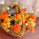 【10月中にお届け】かぼちゃ フラワーアレンジメント ハロウィン 飾り 花 プレゼント ギフト おし