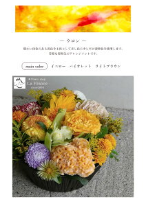 ハロウィンで喜ばれる花のおすすめプレゼント30選 もらって嬉しいプレゼントランキング Ocruyo オクルヨ ハロウィンで喜ばれる花のおすすめプレゼント30選 もらって嬉しいプレゼントランキング Ocruyo オクルヨ