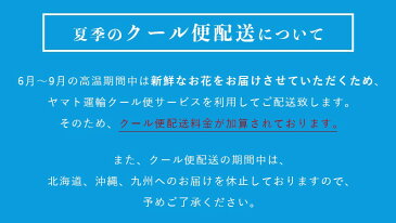 イメージカラー・ラテ花束■花 アレンジメント 花束 ローズ ばら 薔薇 記念日 結婚祝い 贈り物 お祝い即日発送 フラワー ギフト プレゼント 誕生日 出産祝い 結婚記念日 開店祝い 開店祝い 花 おしゃれ バラ お供え お悔やみ ベージュ クール便