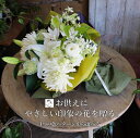 ユリ お彼岸 生花 アレンジメント 花ギフト 花束 お供え 花 お悔み 御供 枕花 法事 四十九日 一周忌 三回忌 七回忌 即日発送 あす楽 供養 送料無料 命日 洋風 優しい おしゃれ 蘭 ユリ 菊 日持ち 長持ち ペット 犬 猫 白 ピンク 黄色