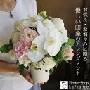 【冷蔵便 クール便】翌日配送 あす楽 お供え お盆 新盆 花 生花 アレンジメント 花ギフト 自宅 花かご お悔やみ 御供 枕花 法事 四十九日 一周忌 三回忌 七回忌 即日発送 送料無料 命日 洋風 和風 優しい おしゃれ かわいい 日持ち 長持ち ペット 犬 猫 白 ピンク 紫色 黄色