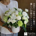 【冷蔵便 クール便】翌日配送 あす楽 お供え お盆 新盆 花 生花 アレンジメント 花ギフト 自宅 花かご お悔やみ 御供 枕花 法事 四十九日 一周忌 三回忌 七回忌 即日発送 送料無料 命日 洋風 和風 優しい おしゃれ 日持ち 長持ち ペット 犬 猫 ユリ 白 緑 ピンク 紫色 黄色