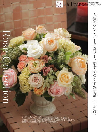 海外輸入 の 生花 花 ギフト 誕生日 お花 フラワーアレンジメント ギフト 女性 バラと季節のお花の贈り物 フラワーショップ ラ フランス 人気のローズコレクション フリーメッセージ対応の無料カード付き フラワーアレンジメント あす楽 誕生日 プレゼント ばら バラ 海外輸入 の 生花 花 ギフト 誕生日 お花 フラワーアレンジメント ギフト 女性 バラと季節のお花の贈り物 フラワーショップ ラ フランス 人気のローズコレクション フリーメッセージ対応の無料カード付き フラワーアレンジメント あす楽 誕生日 プレゼント ばら バラ