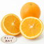 【訳あり】オレンジ ネーブル バレンシア 1玉 輸入 アメリカ産 カリフォルニア産 オーストラリア産 お試し 訳あり B品