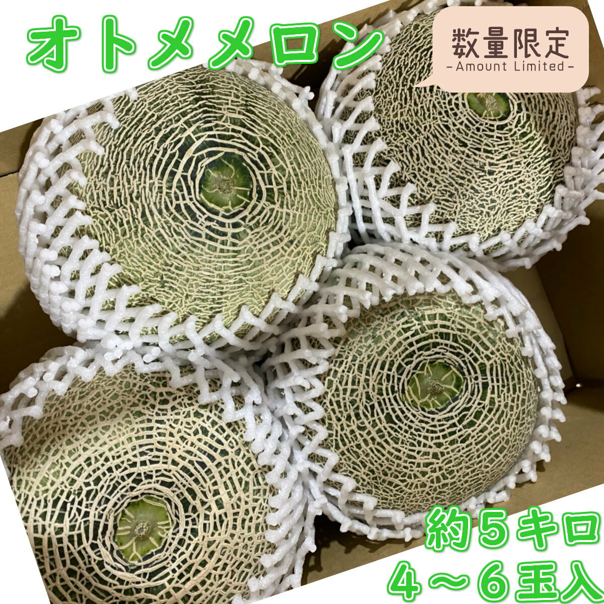 【緊急スポット】秀品　数量限定30箱【5キロ】オトメメロン JA 4~6玉入 約5kg メロン 青肉 めろん 茨城県産 4L 3L 2L LA シェア用 ご自宅用 ご家庭用 送料無料 訳ありではありません 選べるサイズ melon オトメ メロン「オいしさ・トきめく・メぐりあい」 食品