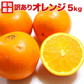 【訳あり5キロ】オレンジ ネーブル バレンシア 5kg 輸入 アメリカ産 カリフォルニア産 オーストラリア産 お試し 訳あり B品 送料無料