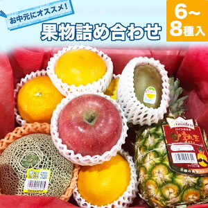 果物詰め合わせ6〜8種類入 コロナ 応援 食品 果物セット 詰め合せ　季節によって入るものが変わります　熨斗・ラッピングご対応可能です