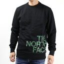 ザ・ノース・フェイス トレーナー メンズ THE NORTH FACE ザノースフェイス Mens Blown Up Logo Crew トレーナー プルオーバー スウェットシャツ 長袖 クルーネック ロゴプリント メンズ NF0A854A