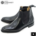 WZt `[j[ u[c Y ObhC[EFg U[ TChSAu[c Xbhj[h JOSEPH CHEANEY THREADNEEDLE JCN I041972 BLACK CALF