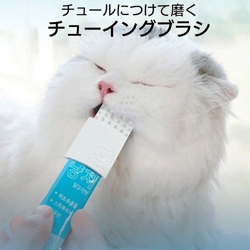 チュールにつけて使用するペット用歯ブラシ！ 商品名 商品番号：pet-006 商品名：チューイングブラシ 商品説明 猫の大好物である「チューブ型液状キャットフード」 たくさん食べて元気に育つ猫ちゃんたち！ 気になるのがお口の中の健康です。 歯を磨いてあげようしても逃げたり、怒ったりで大変かもしれません。 より簡単に、より楽しくおうちのニャンちゃん達の歯を管理する方法があります。 CHEWING BRUSH(チューイングブラシ)をご紹介します。 効率的な猫の歯の管理？大切なのはプラーク(Plague)管理です！ 既に石のように固まった歯石を除去する唯一な方法はスケーリング(Tooth scaling)だけだと獣医の先生たちは言います。 しかし、スケーリング(Tooth scaling)は治療費と検査費用、そして治療のための麻酔が必要。 飼い主にとっては経済的・心理的に大きな負担となります。 プラーク(Plague)は歯面に沈着した無色の細菌外膜で物理的な刺激(歯磨き)だけで簡単に消去が可能です。 しかし、プラークが消去されず、つばの成分であるミネラルと結合して固くなる瞬間、消去が難しい歯石として発展します。 自然にプラーク沈着を抑え、歯茎マッサージ効果も期待できます。 猫の口腔の健康のために飼い主ができる最も効果的な方法は、歯石になる前の状態であるプラークを物理的な刺激で事前に除去することです。 つまり、一日一回のブラッシングが最も良い口腔管理法です。 チューイングブラシは物質安全(MSDS)検証とROHS認証を取得した安全な製品です。 100%天然ゴムで制作されたので猫が思いきり噛んでも無害な製品です。 サイズ 本体：W65cm×H14.5cm×D5.7cm クッション：W3.5cm×H6.5cm×D0.7cm 素材 天然ゴム100% カラー ベージュ(クリーム、肌色) 機能 猫専用、小型犬専用、チューブ型キャットフードを装着して使用。歯石除去、歯垢除去、歯磨き、歯肉マッサージ ご注意 1.チューイングブラシは消耗品です。使用頻度や噛む力などで亀裂が発生する場合があります。 2.用途以外のご使用はしないでください。 3.噛める商品としての特徴上、破損及び飲み込みの危険性がありますので使用時は飼い主の観察が必要です。 4.猫が製品を飲み込んでしまった場合、天然素材の製品ですので排便で自然に排出されます。しかし、食欲不振や異常行動などが発生した場合直ちに使用をやめて専門獣医師と相談してください。 5.チューイングブラシの類似品使用による発生するすべての健康上問題については責任を負いかねます。