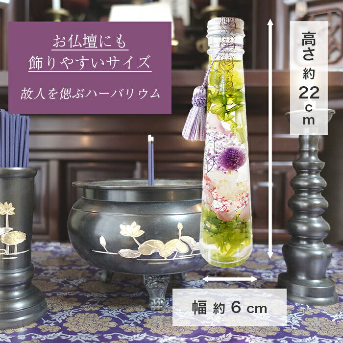 ������ �ϡ��Хꥦ�� �ĥ꡼�� ʩ�� �ڥå� ���� �Ϥ�ʤ��� ���� ����� �ץꥶ���֥ɥե� ʩ�� ������ ˡ�� ���ڻ� £��ʪ ������ ����ƥꥢ ��ӥ� ���� �ϡ��Хꥦ�� NAO / LAGOM