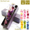 ハーバリウム ギフト BOX付 パープル 日本製 ギフト 花 母の日 プレゼント フラワーギフト おしゃれ インテリア クリスマス プレゼント 誕生日 記念日 ...