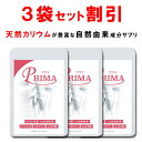 【マラソン最大47倍】パール金属 鉄分 補給 鉄製 プレート Feサプリ HB-5000 シルバー