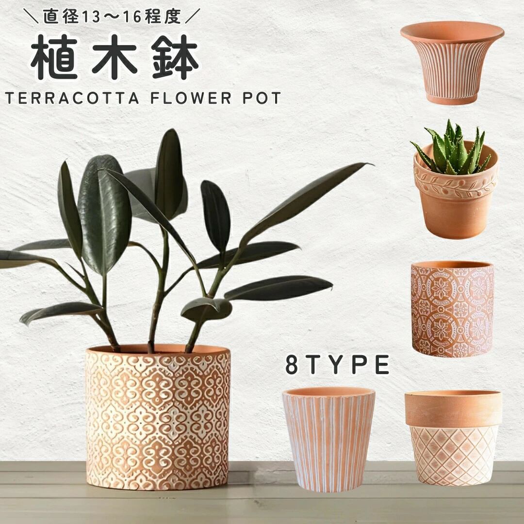 楽天市場】ゼラニウム 鉢植え（植木鉢・プランター｜ガーデニング