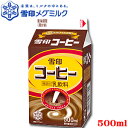 雪印コーヒー 500ml 20本セット （クール便でお届けします。） 【コーヒー】【雪印】【ゆきこたん】【あの花】【RCP】