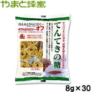 【送料無料！15袋セット】てんてきの糖(ポーションタイプ)8g×30個入り ※ただし離島・沖縄は別途 ...