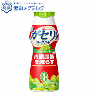 恵megumi長くとどまるガセリSP乳酸菌ヨーグルト100g