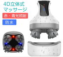 頭皮マッサージャー EMS 頭皮ケア 頭皮器 電動ブラシ マッサージ機 頭皮 電動頭皮ブラシ ヘッドスパ 電気針ヘッドスパ ヘッドマッサージャー 効果 電動頭皮 頭皮エステ ストレス解スパ 美容 スカルプケア 頭皮エステ 赤・青光照射版 IPX7 防水式 ヘッドスパ