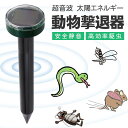 2個入り モグラ退治 モグラ撃退器 ネズミ もぐら撃退 ソーラー モグラよけ ソーラー 操作簡単 音波 超音波 太陽光パネル振動 退治 超音波 駆除