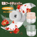 フードチョッパー みじん切りチョッパー 電動式 300ml U充電式 ミニハンディチョッパー チョッパー コンパクト 便利 キッチン用品 調理器