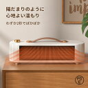 セラミックファンヒーター ファンヒーター 小型 速暖 自然風/温風/熱風3段階切替 転倒自動オフ 過熱保護 クラシック レトロ風 足元ヒーター 暖房器具 電気暖房 電気ファンヒーター(2)