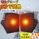 【第三代♪】電熱グローブ ヒーター手袋 電熱グローブ ヒーターグローブ ヒートグローブ 防寒手袋 温熱手袋 作業用 バイク 充電式 コミネ USB充電式 モバイル充電式 加熱グローブ レディース コミネ バイク 男女兼用 手袋 寒さ対策 防寒 暖房器具