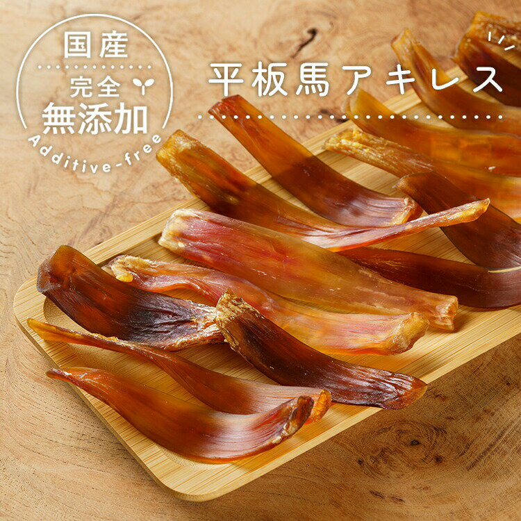 無添加 国産 犬 おやつ 馬アキレス 平板 ショート 45g ジャーキー ハード スティック 牛肉 ギフト プレゼント オヤツ 大型犬 中型犬 個包装 デンタルケア