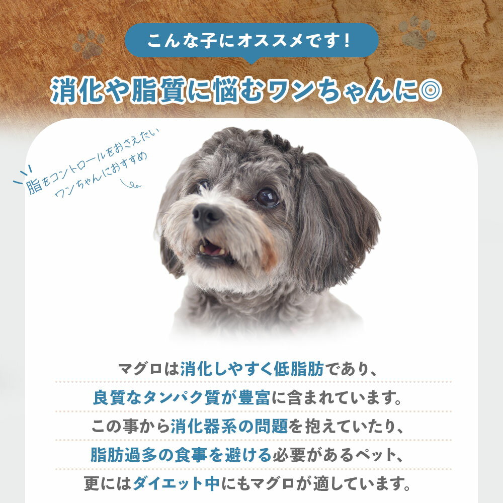 犬 おやつ 無添加 国産 マグロスライス ジャーキー 45g ドッグフード ギフト プレゼント オヤツ 大型犬 中型犬 小型犬 3