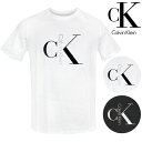 カルバンクライン CALVIN KLEIN 半袖 Tシャツ メンズ カットソー クルーネック コットン CK ロゴ プリント 人気 ブランド 丸首 トップス ストリート アメカジ