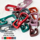 nakota × CIE ナコタ×シー 2ROOMS CARABINER -SPECIAL COLOR- 別注ツールームカラビナ リング付き 鍵 キーホルダー キーリング メンズ レディース おしゃれ プレゼント ギフト 2個セット コラボ 落下防止