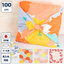 風呂敷 100cm ひめむすび 綿 大判 大きい ふろしき エコバッグ クッションカバー 包装 記念品 プレゼント ギフト 記念品 御祝い 名入れ 日本製 国産...