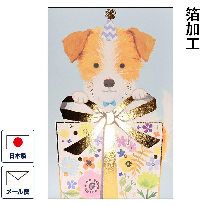 グリーティングカード エブリディカード イヌ g250-312 多目的カード バースデーカード 誕生日カード メッセージカード あいさつカード まとめ買い 大量...