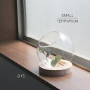 yFARMzX[eE@B15 15cm eE@ KX@Ebh@Small Terrarium