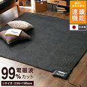 【送料無料】 【特許技術使用】 ホットカーペット本体 195×235cm 室温センサー搭載 電気カーペット 電気 マット ホットマット 省エネ 速暖機能 電磁波カット 3畳 ダニ退治 8時間自動オフタイマー 送料込