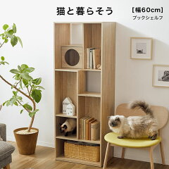 https://thumbnail.image.rakuten.co.jp/@0_mall/lala-sty/cabinet/item_cart/storage/01/f506-g1017-100_01.jpg