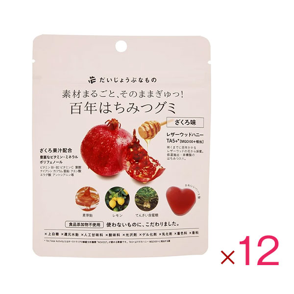 ★大人気★無添加 お菓子 百年はちみつグミ ざくろ味 49g ×12個