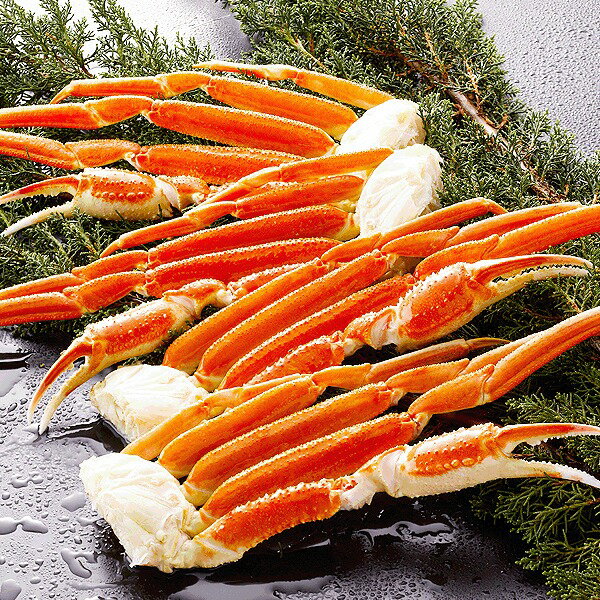 【身入り抜群のA級品！】ボイルずわいがに脚1kg（4〜5肩）【代引不可】【送料無料】【北海道沖縄離島配..