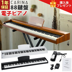 【2022年最新モデル】電子ピアノ 88鍵盤 木製 給電タイプ dream音源 MIDI対応 スリム 初心者 新学期 新生活 ブラック ホワイト ブラウン【演奏動画あり】【1年保証】【PL保険加入済み】