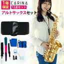 Chateau ( シャトー ) CAS-H92B アルトサックス ブラックニッケル レッドブラス Alto Saxophone black Gottsuマウスピース セット A　北海道 沖縄 離島不可