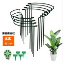 植物支柱 8個セット 26cmx60cm ガーデニング 支柱 半円形 園芸用品 背の高い花 観葉支柱 農業用 花ささえ 園芸支柱 植物サポート 観葉植物 つる性...