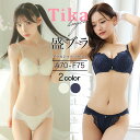 【ネコポス350円】下着 レディース 勝負下着 ソフトワイヤー ブラ シンプル セクシー 花柄 レース ショーツ セット A70 A75 B65 B70 B75 B80 C65 C70 C75 C80 D65 D70 D75 D80 E65 E70 E75 F65 F70 F75 セクシー ランジェリー 上下セット ブラジャー 下着セット 即日発送