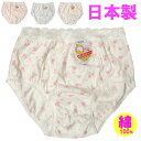 ショーツ レディース 日本製 綿100% 単品 メール便 レース シンプル 下着 ランジェリー シンプル セール M/L/LL ピンク ブルー オフ白 深穿き 花柄 ストレッチ フラワー ショーツ フルバック レディースインナー スタンダード 女性用 レディースショーツ h424mlll(4)