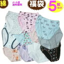 ショーツ 福袋 ショーツ レディース 綿 混 コットン メール便 送料無料 楽天ランキング 5枚セット 下着 ランジェリー シンプル セールM/Lサイズ お試し...