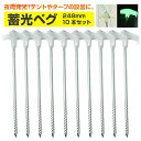 蓄光ペグ 10本セット 248mm 収納袋付き 夜光 夜間発光 暗闇で光る ペグ テント タープ 設営 キャンプ アウトドア用品 レジャー