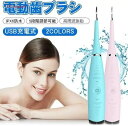 電動歯ブラシ 超音波デンタルクリーナー 腔洗浄器 超音波 口腔洗浄機 高周波で簡単 口臭防止 歯周病予防 歯石除去 IPX6防水 5段階調節可能 歯間汚れ除去 超音波振動スケーラー 器具 口腔ケア