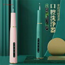 電動歯ブラシ 器具 口腔ケア美容器 LEDライトで、歯の消し時に歯の汚れ、歯石、 除去可能 3種類モード 口腔ケア美容器 口臭防止 歯周病予防 電動はぶらし USB充電式 歯石除去 周波振動スケーラー 振動 男女兼用